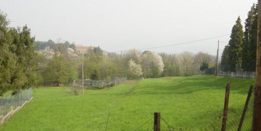 Sartirana, terreno agricolo in vendita.